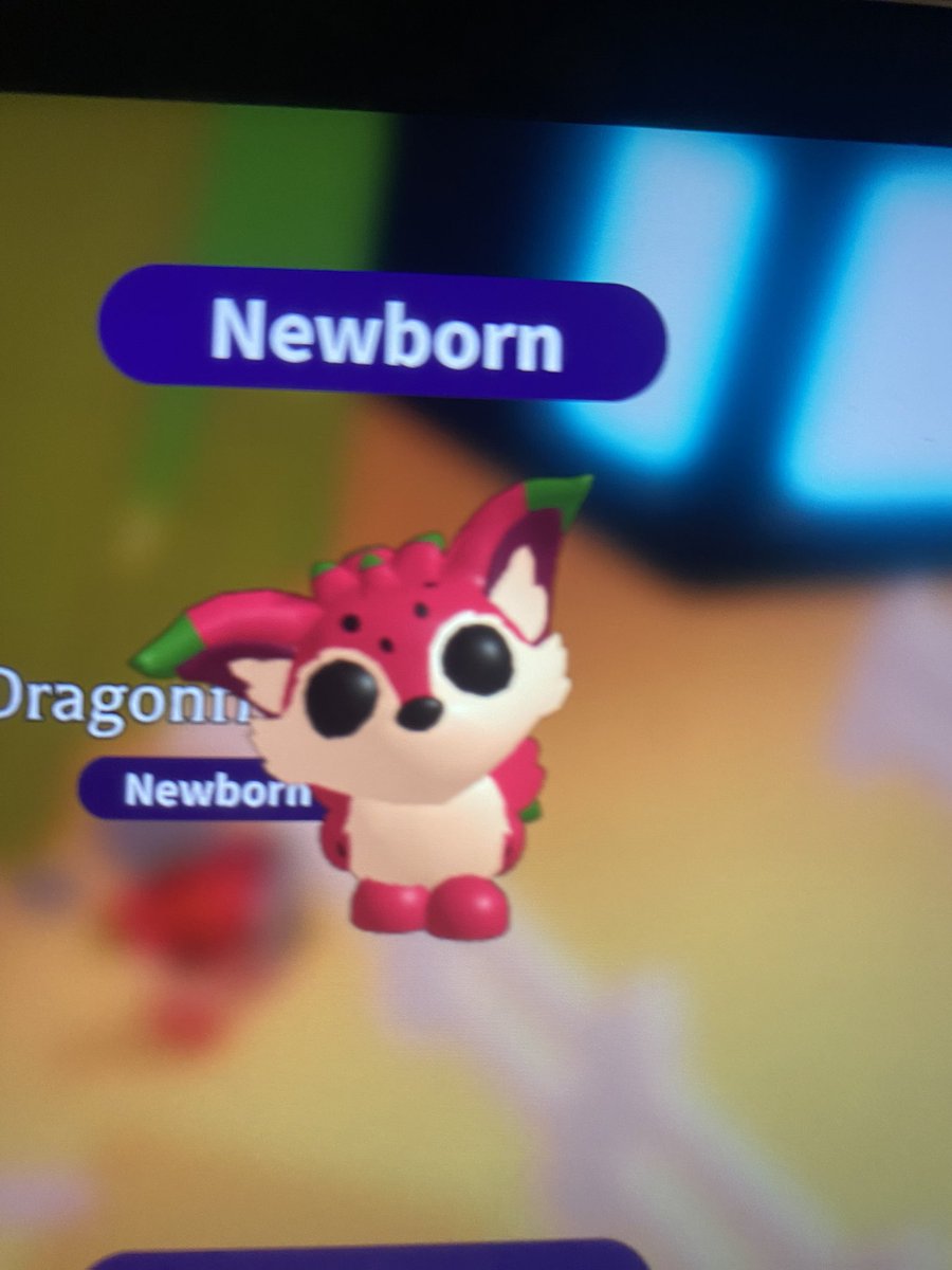 Crumb ! ⭐️🦭 tweet media