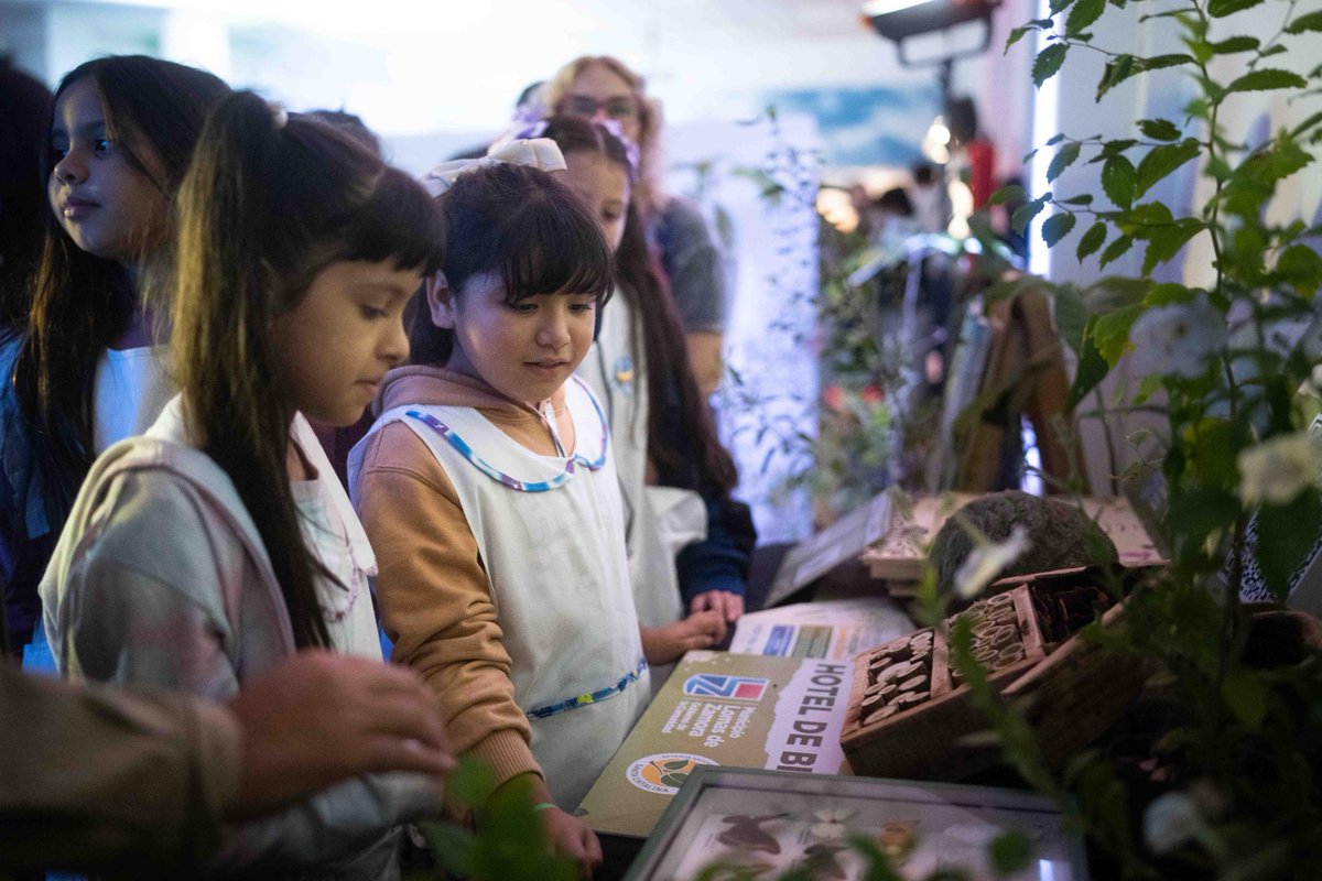 Mun Lomas de Zamora tweet media