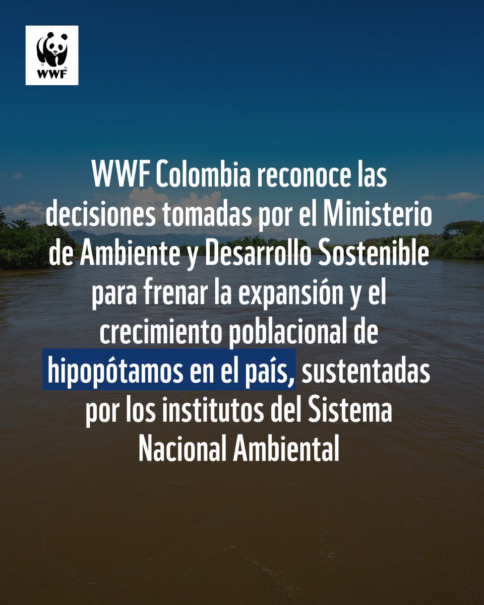 WWF Colombia tweet media