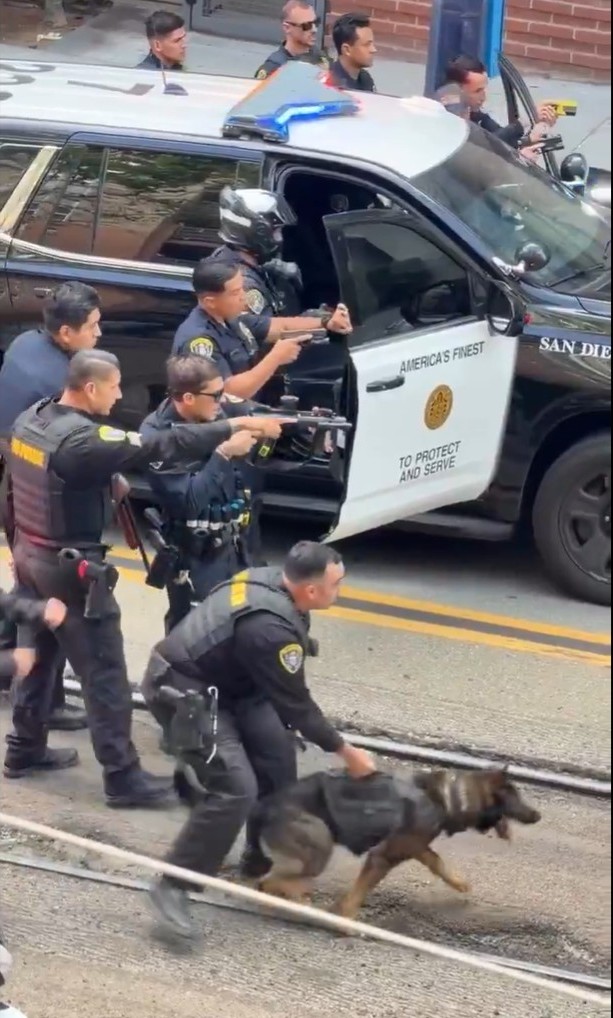 Fiiiiiiiiii___'s tweet image. I'm sorry, but this is going too far for a homeless man with a stick. 🤣🤣🤣The police hid behind the door of the patrol car. 😆 #PoliceDog