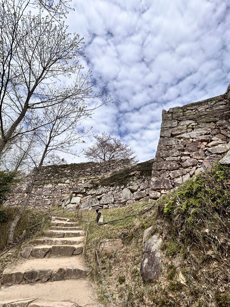 ころねるもぎー@へきる星民 tweet media