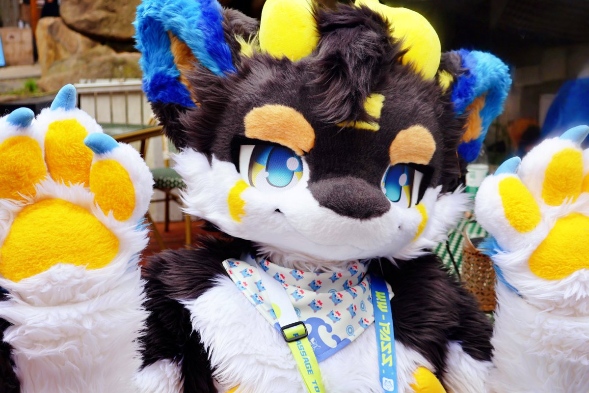 墨虎Mukhoo tweet media