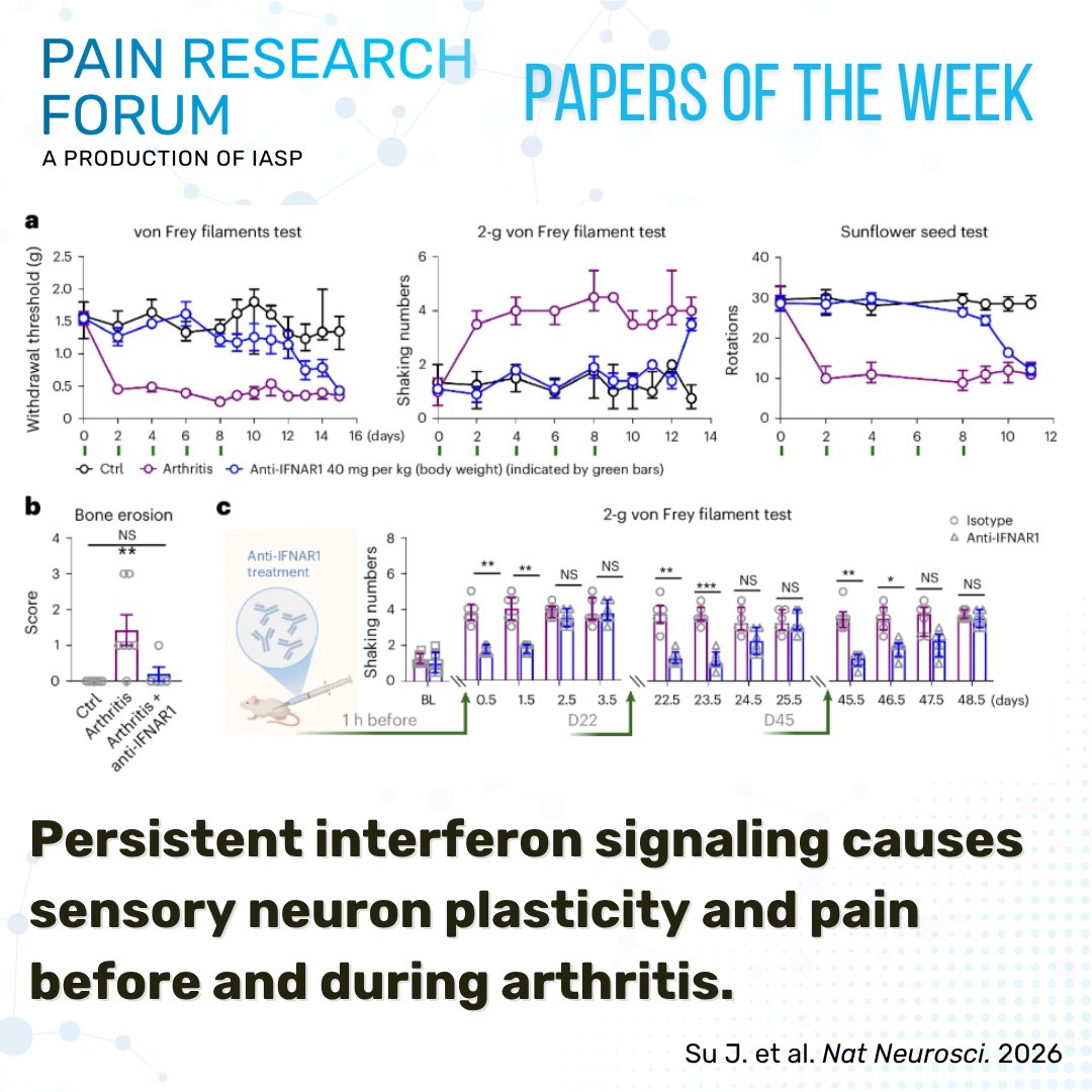 Pain Research Forum tweet media