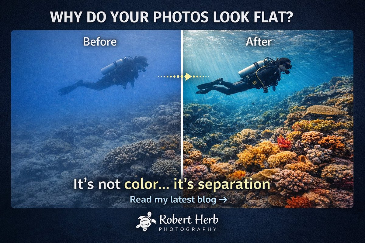 RobHerbPhoto's tweet image. Why do your underwater photos look flat?

It’s not your camera… It’s not even color.
It’s separation
👉 robertherb.blogspot.com/2026/04/from-d…

🎓 FREE Masterclass waitlist:  info.robertherb.com/lm-4-wait-list

#UnderwaterPhotography #LightroomTips #PhotoEditing #ScubaPhotography #PhotographyTips