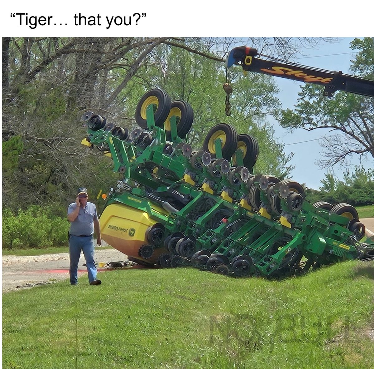 Susan Stroud tweet media