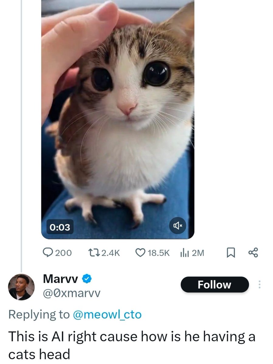 Delusional Takes tweet media