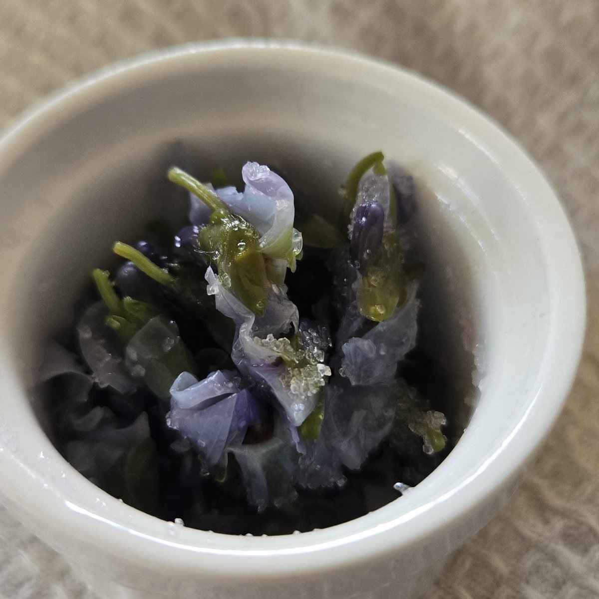 Merry Berries tweet media