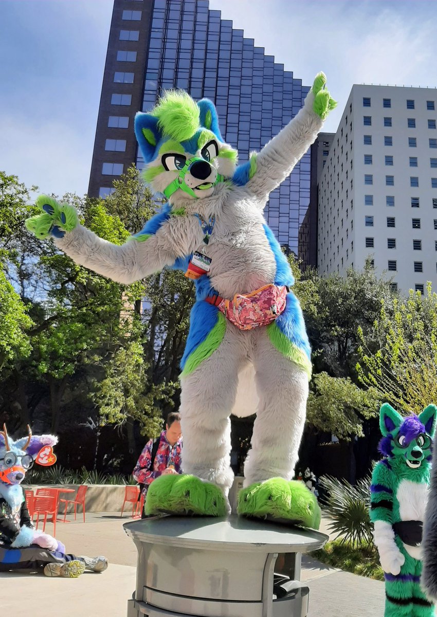 💚💙RAD Husky 💙💚🔜 DenFur / FC tweet media