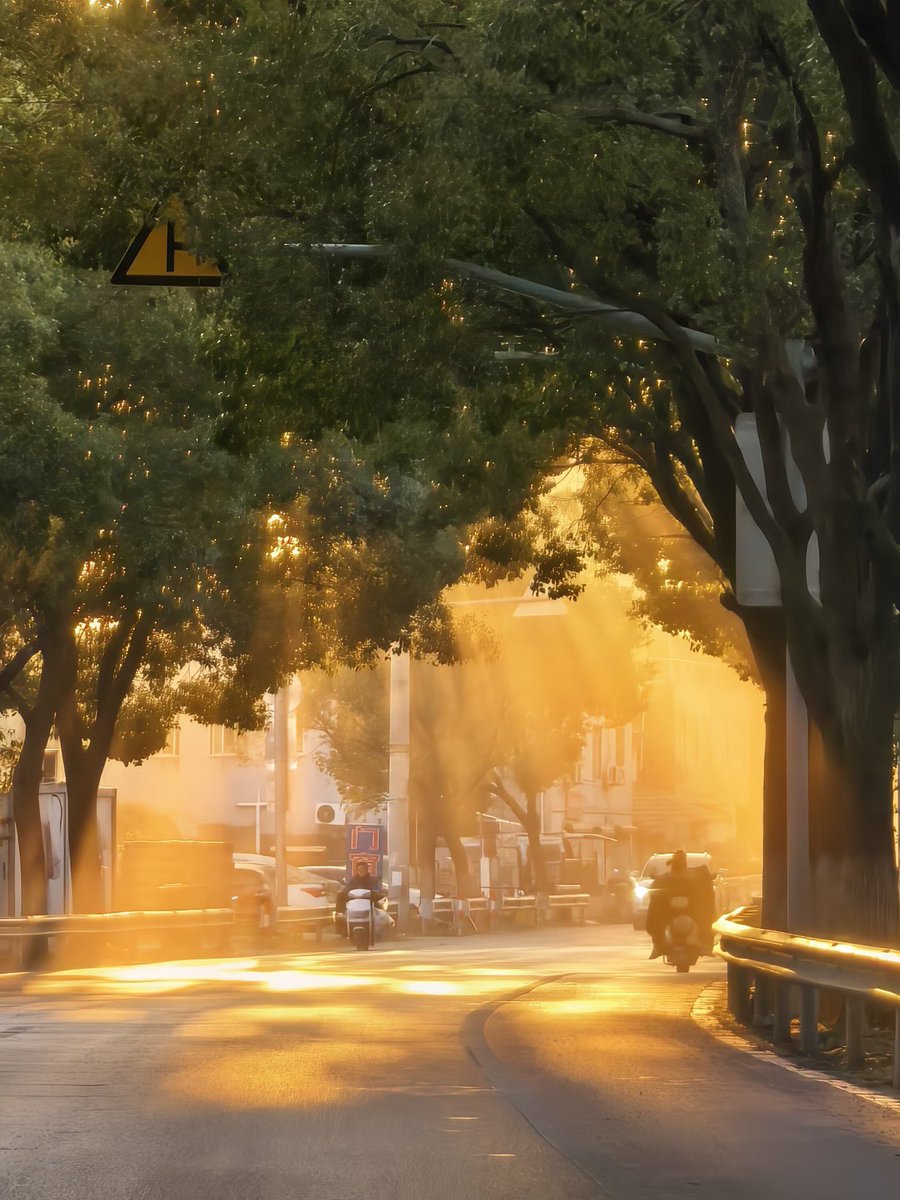 人生海海 tweet media