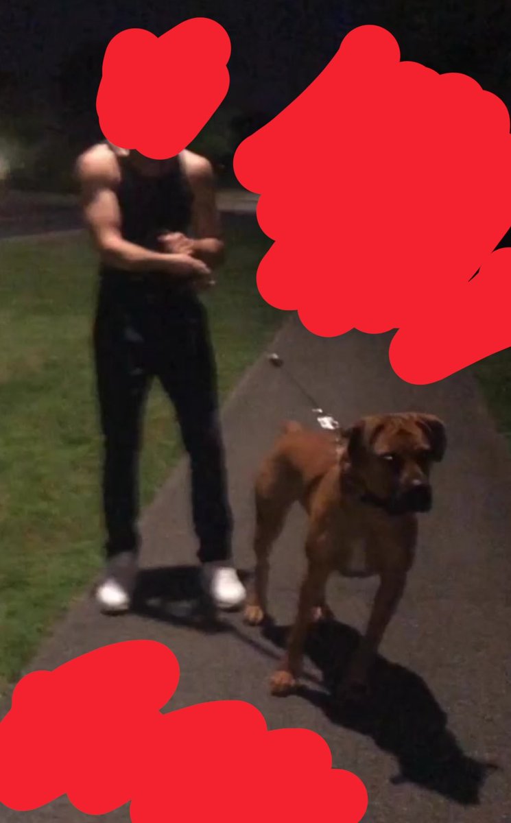 Walter “Hebrew Hammer” Sobchak tweet media