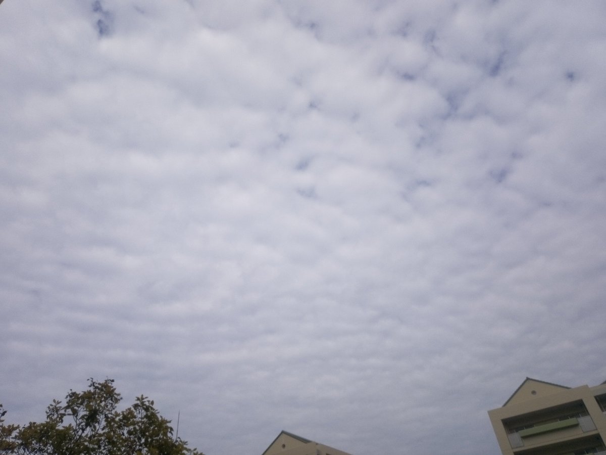 Katsunori Nakai🎆🍀 tweet media