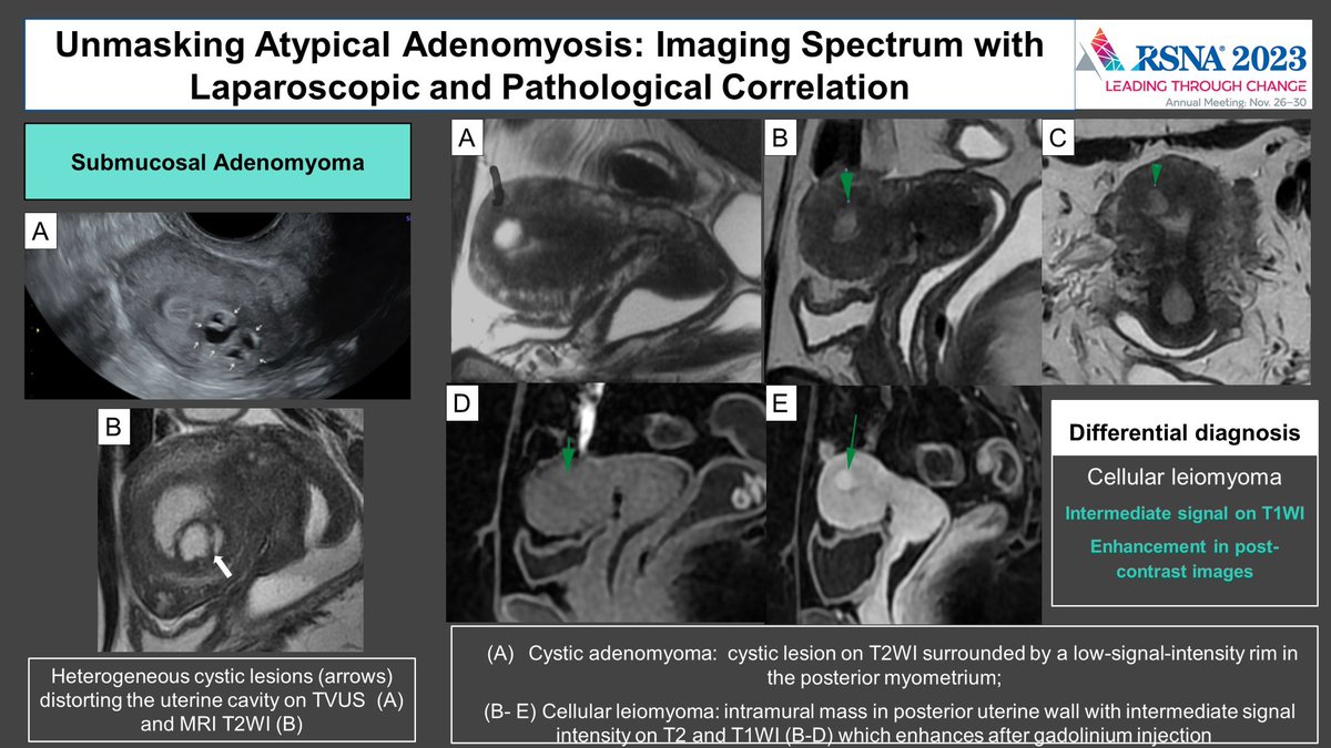 luciana@chamie.com.br tweet media
