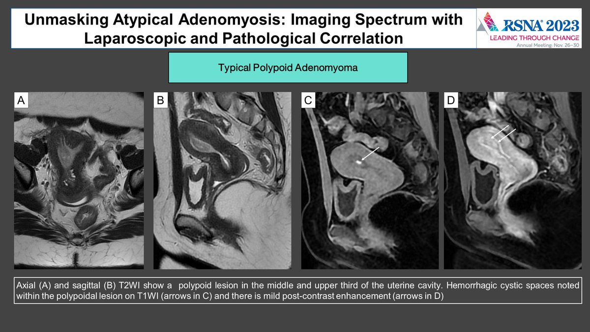 luciana@chamie.com.br tweet media