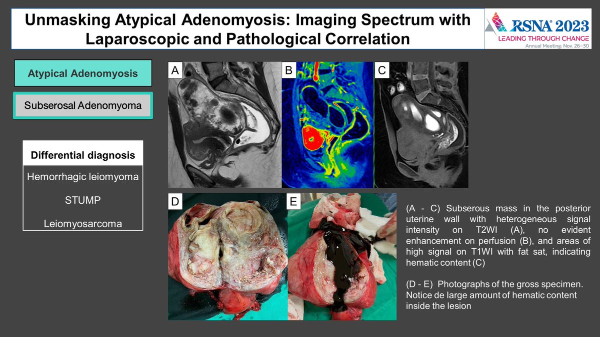 luciana@chamie.com.br tweet media