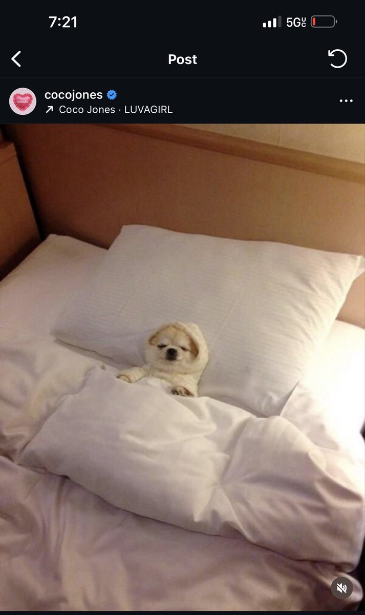 Blamelessluvly tweet media