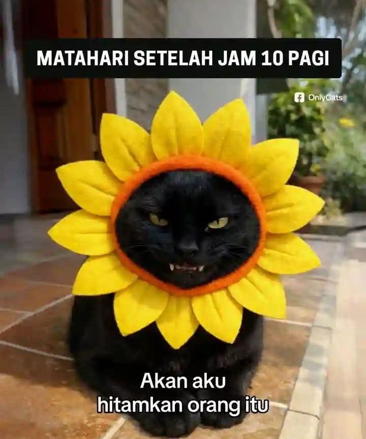 Ketawa itu GRATIS 🛩 tweet media