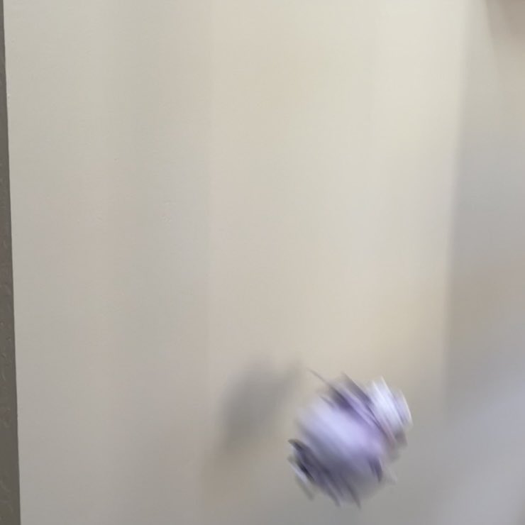 hal 💥 cas kisser #33550336 tweet media