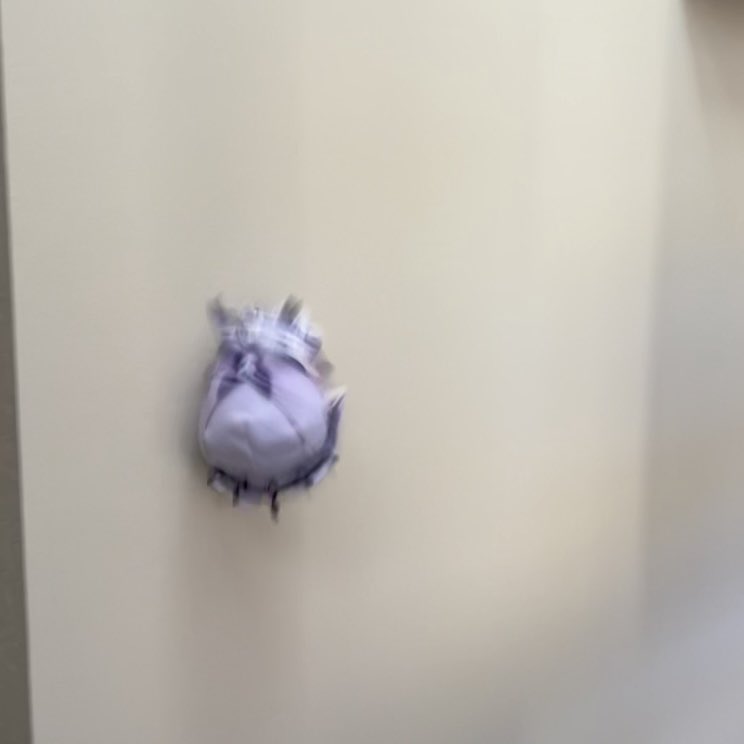 hal 💥 cas kisser #33550336 tweet media