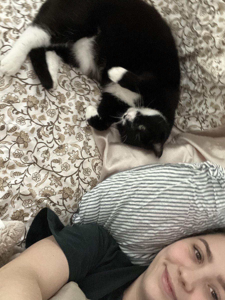 RappCatsAdopt's tweet image. ❤️Adoption Update❤️
Whisper is settling in very happily in her new home with her furever bestie!
We love it!

#Adopted #Happy #Besties