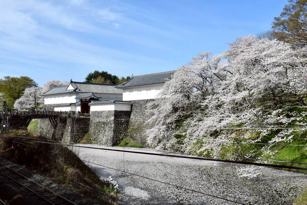 山形市観光協会 tweet media