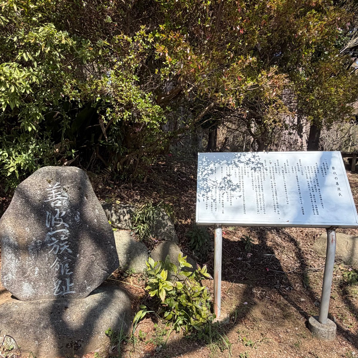 My Playful Town（MPT）-伊勢原市内在学中の大学生による町の楽しみ方- tweet media