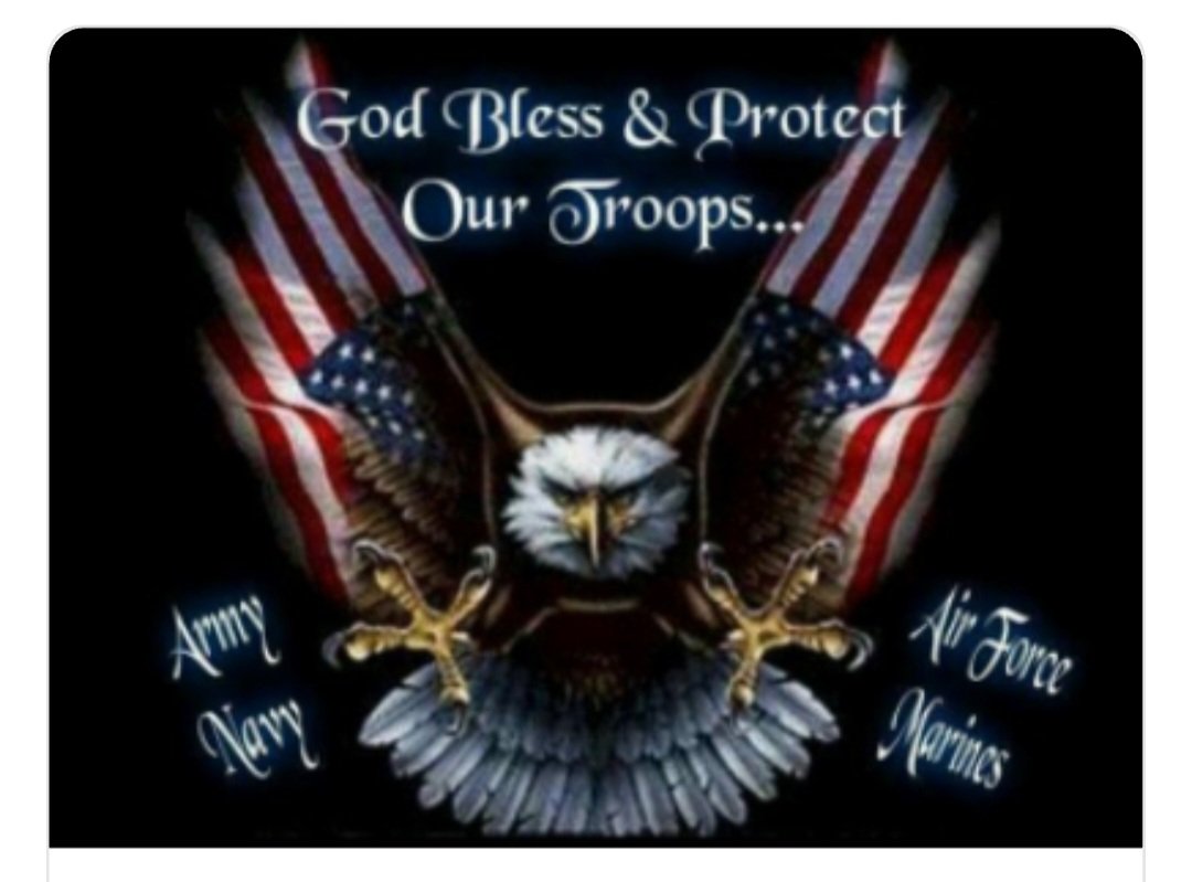 LynnVac66's tweet image. ❤️🇺🇲🫡 #heroes