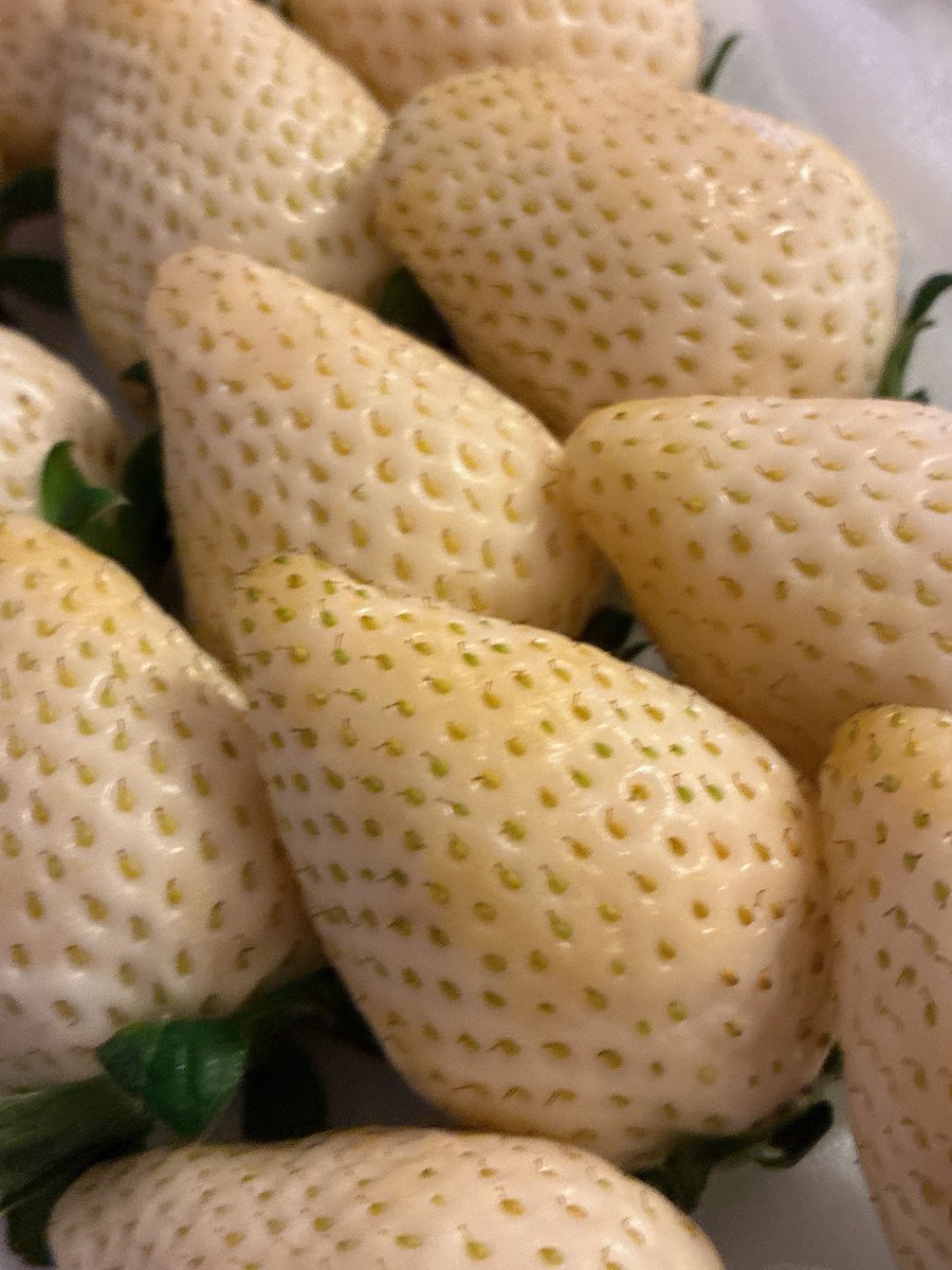 たくやﾉﾝｶﾌｪｲﾝｱﾄﾞﾊﾞｲｻﾞｰｷﾖﾐｽﾞ🫖 tweet media