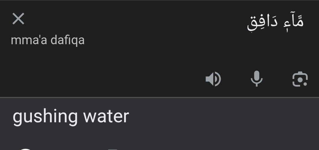 Abu Zayd tweet media