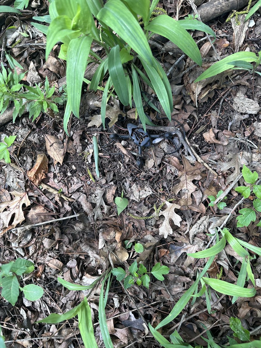 ain McCall tweet media