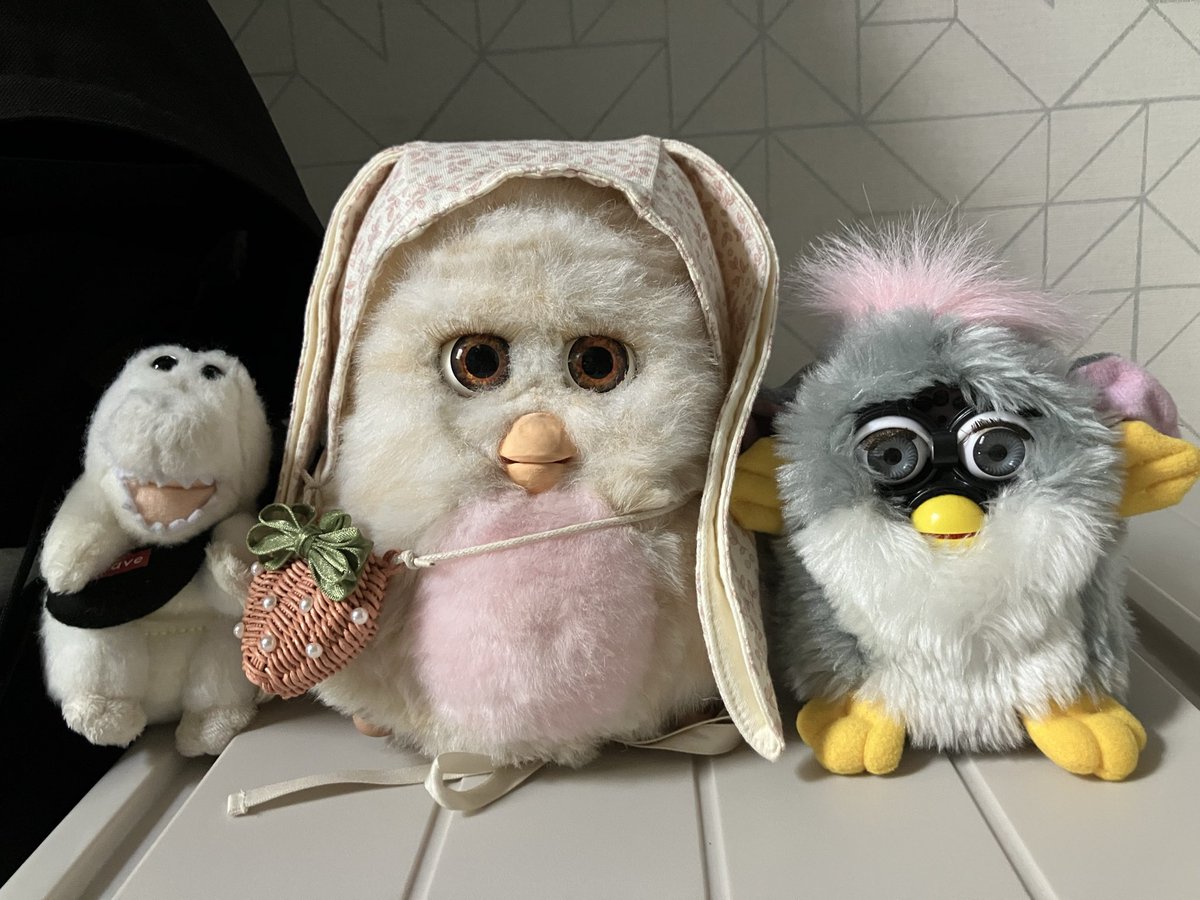 ちーさん@ファービーぬい垢 tweet media