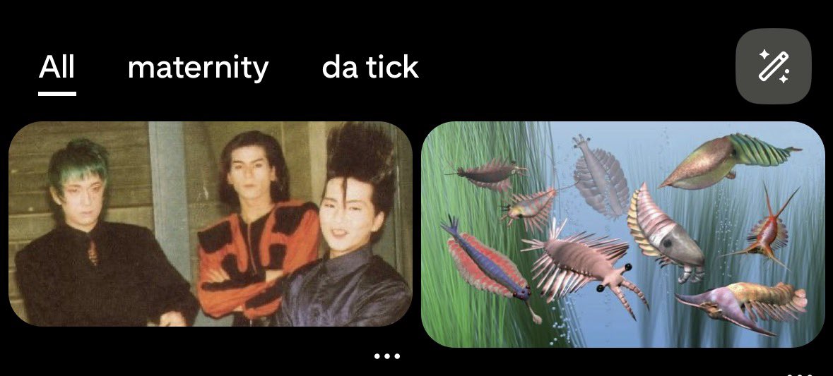 blairballs tweet media