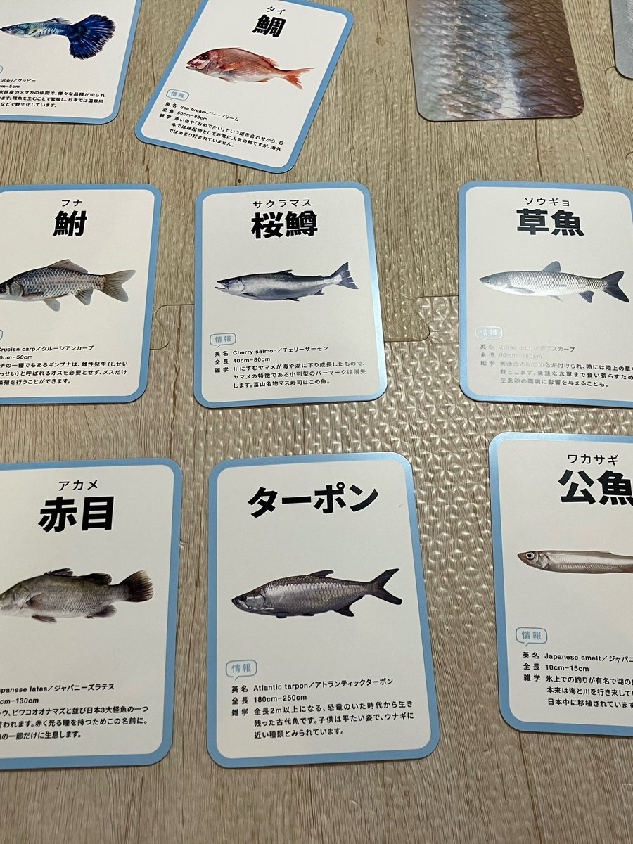 しもろん 月＆金夜雑談 毎朝モンハン配信中 tweet media