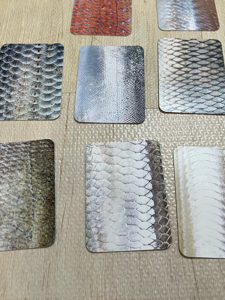 しもろん 月＆金夜雑談 毎朝モンハン配信中 tweet media