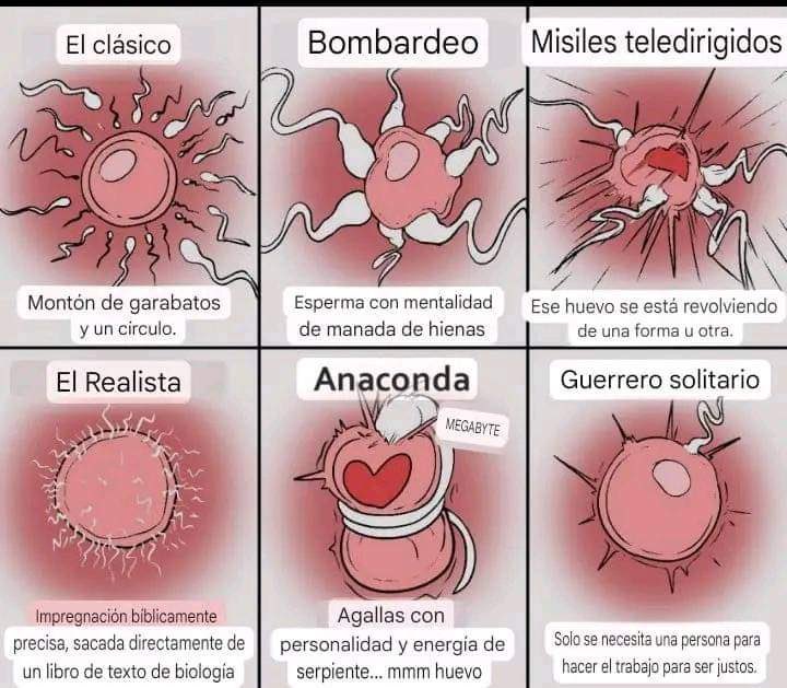 🍑Mia Puta🍑 tweet media