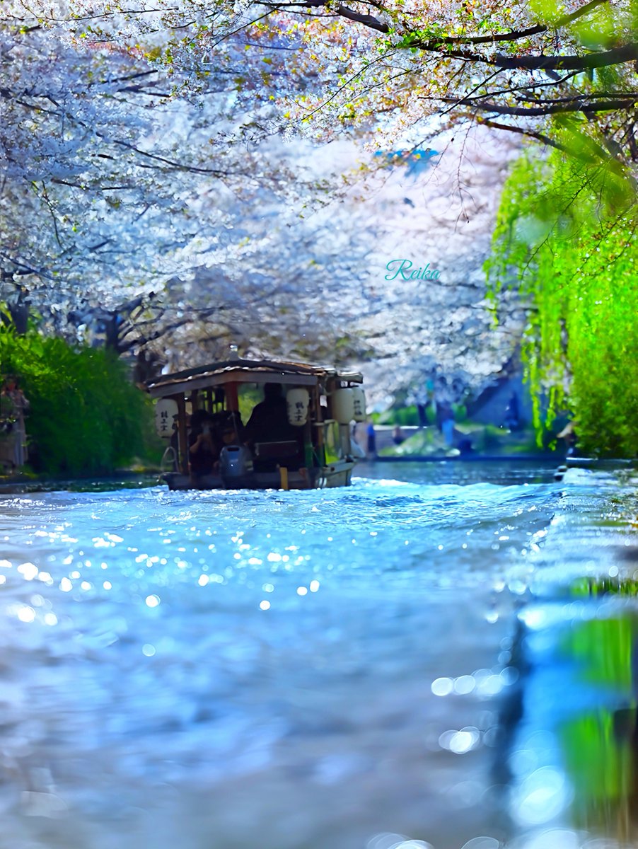 きらきら、輝く水辺