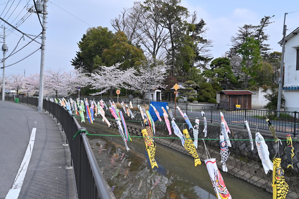 加須市 tweet media