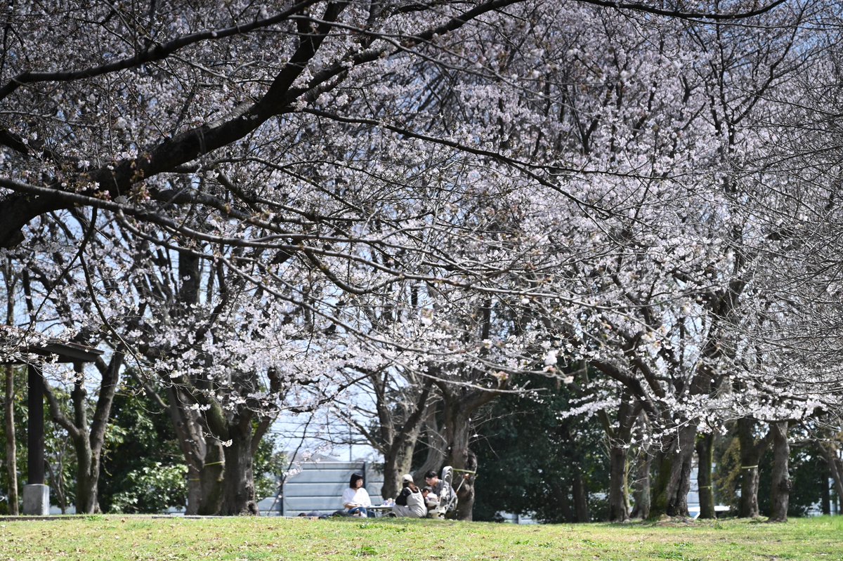 加須市 tweet media