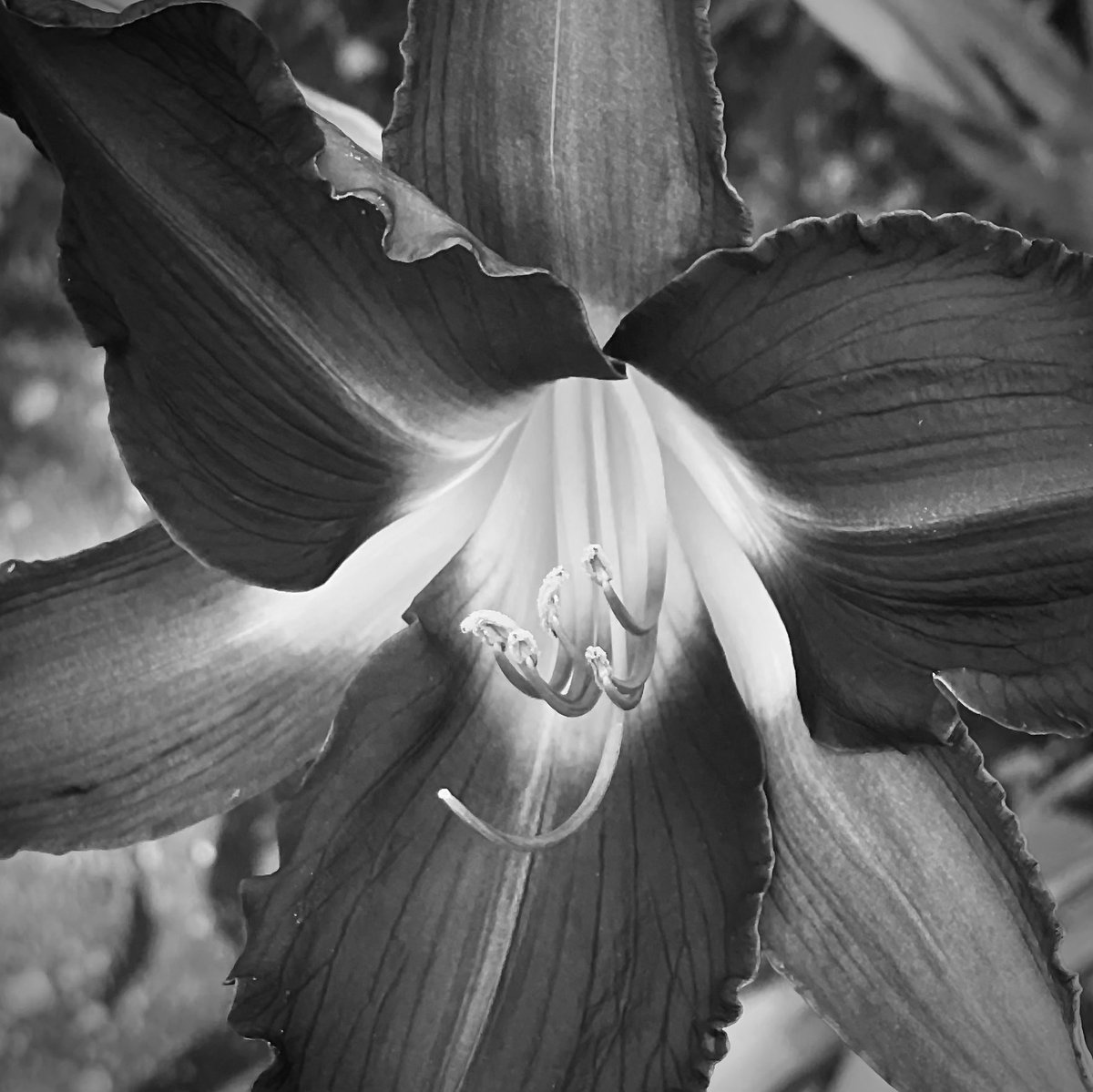 Glenn Burdeaux tweet media