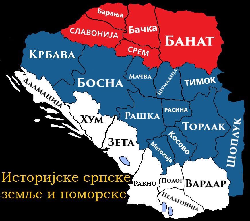 Синајски 🇷🇸 tweet media