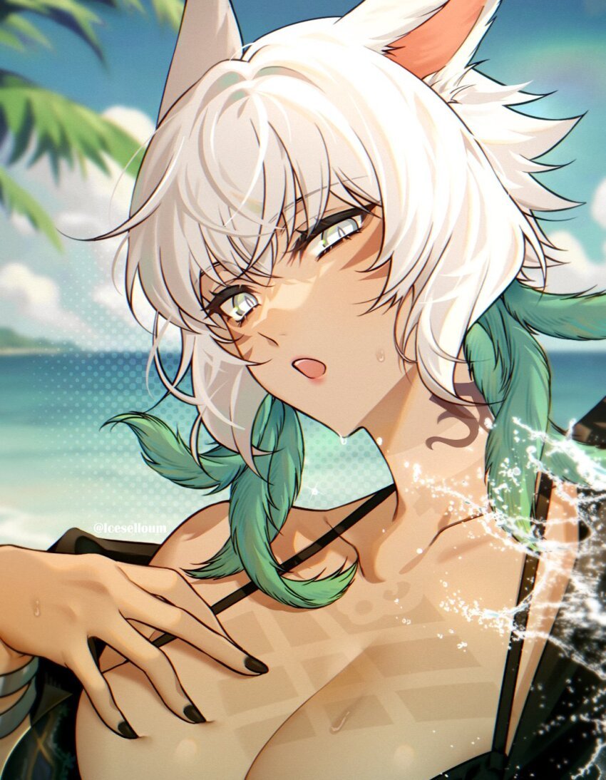 𝓨'𝓼𝓱𝓽𝓸𝓵𝓪 𝓡𝓱𝓾𝓵 tweet media