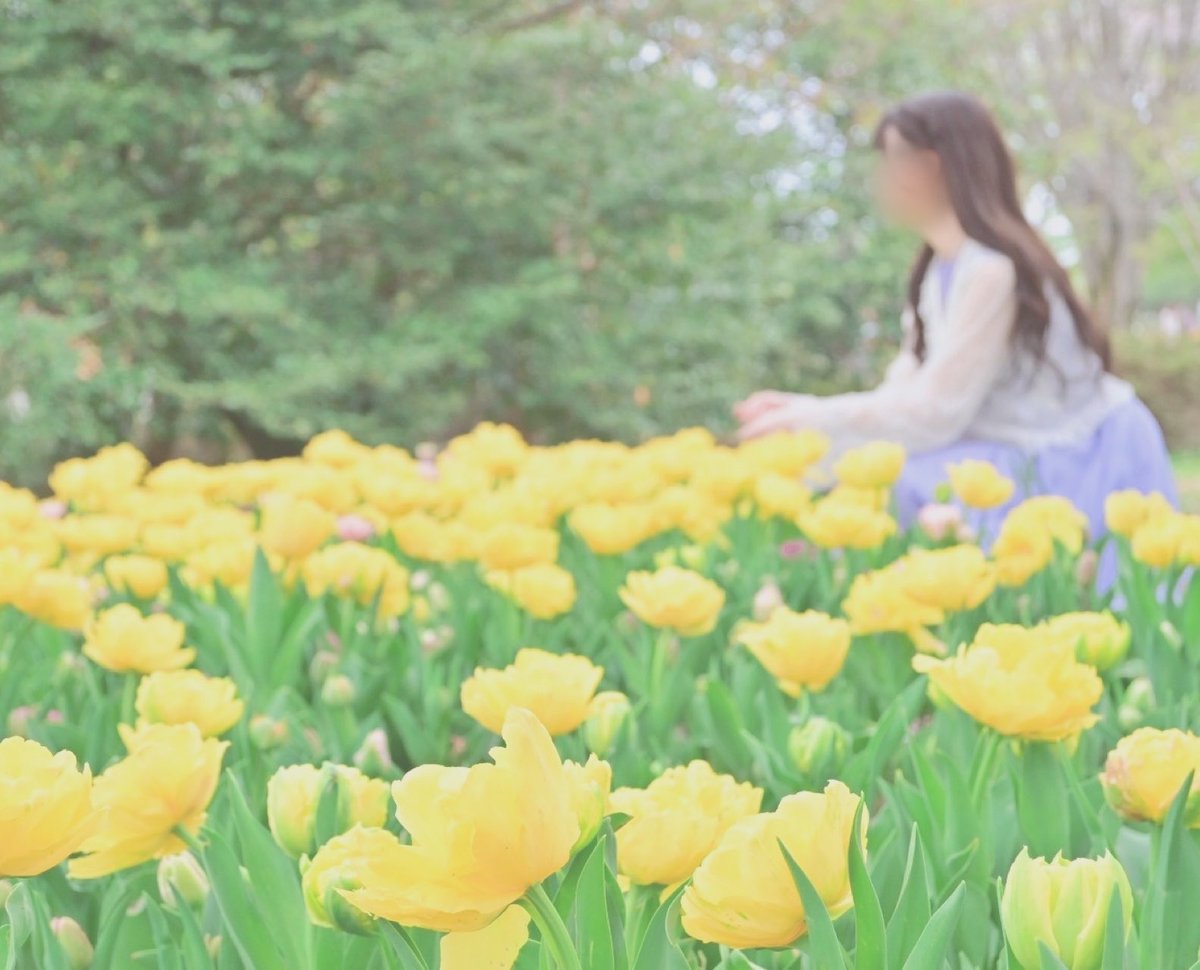 うさぎ tweet media