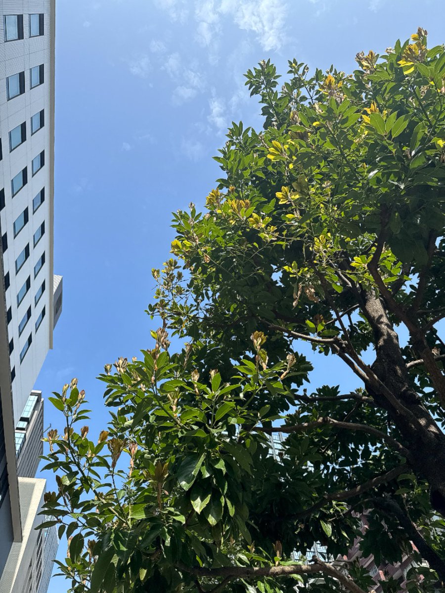 jinjer採用【公式】 tweet media
