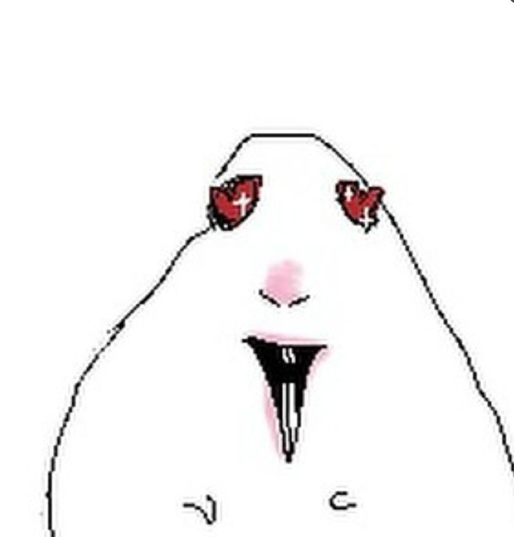 mandarrina tweet media