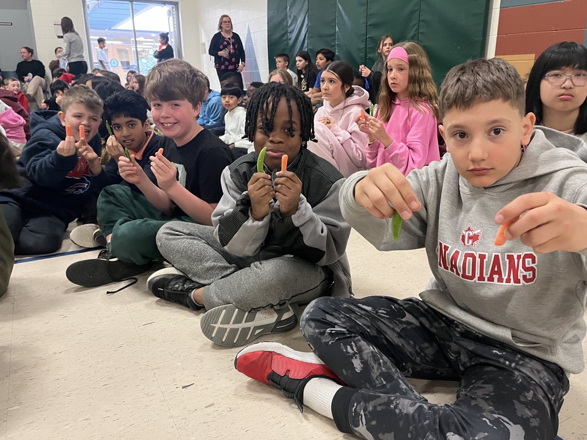 St. Stephen School tweet media