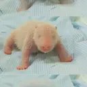 Caroline Ellison tweet media