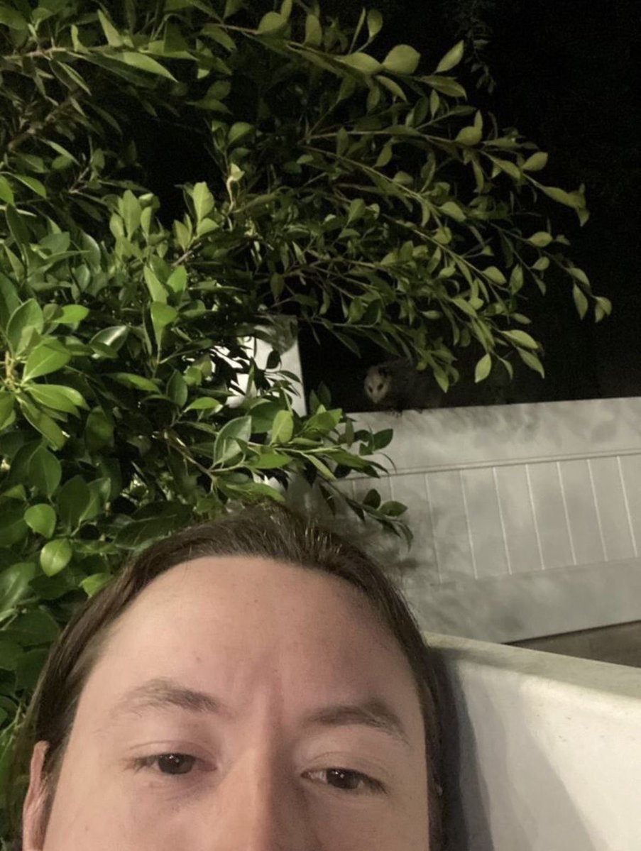 🌟👻🌟 tweet media