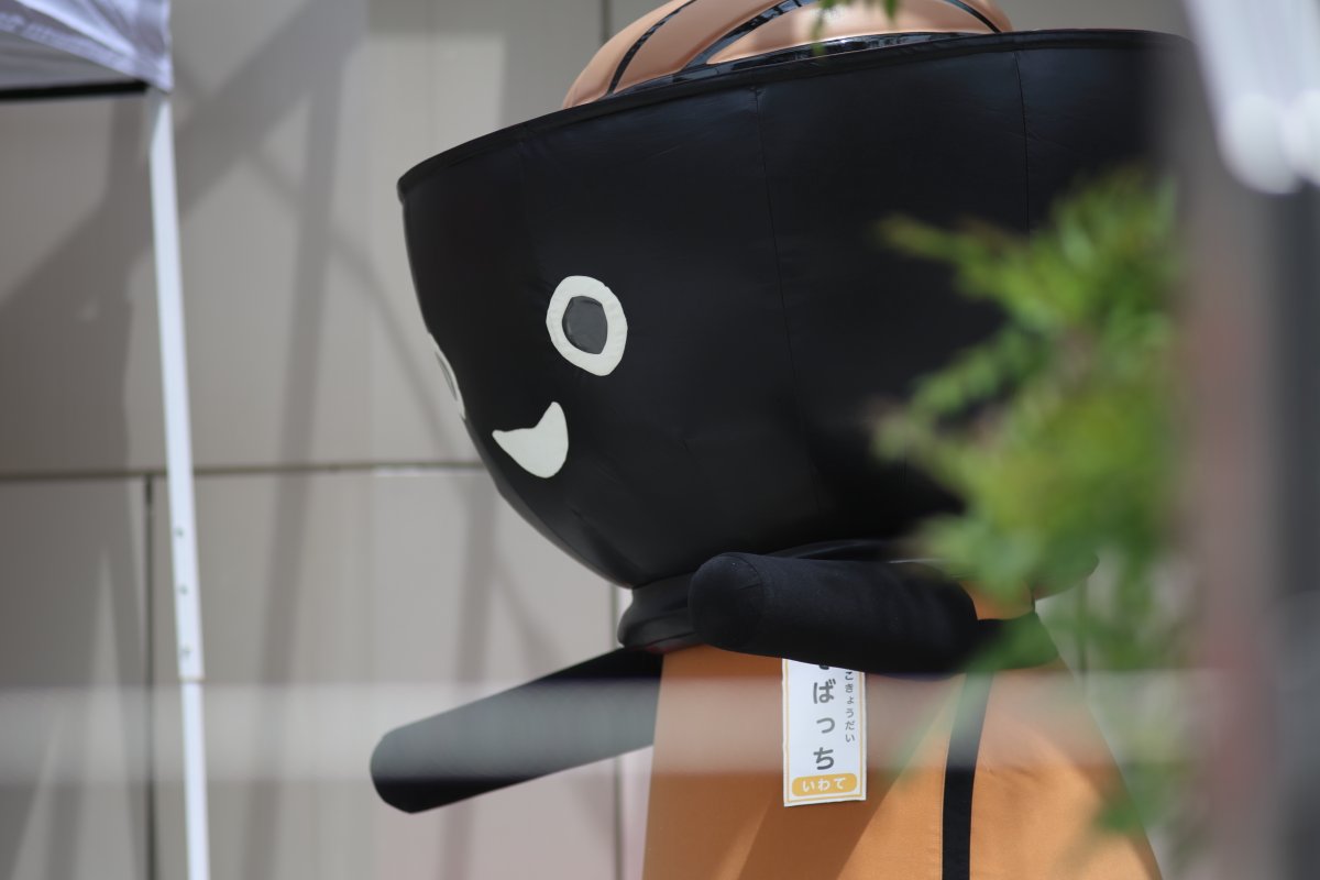 吉川卓志 tweet media