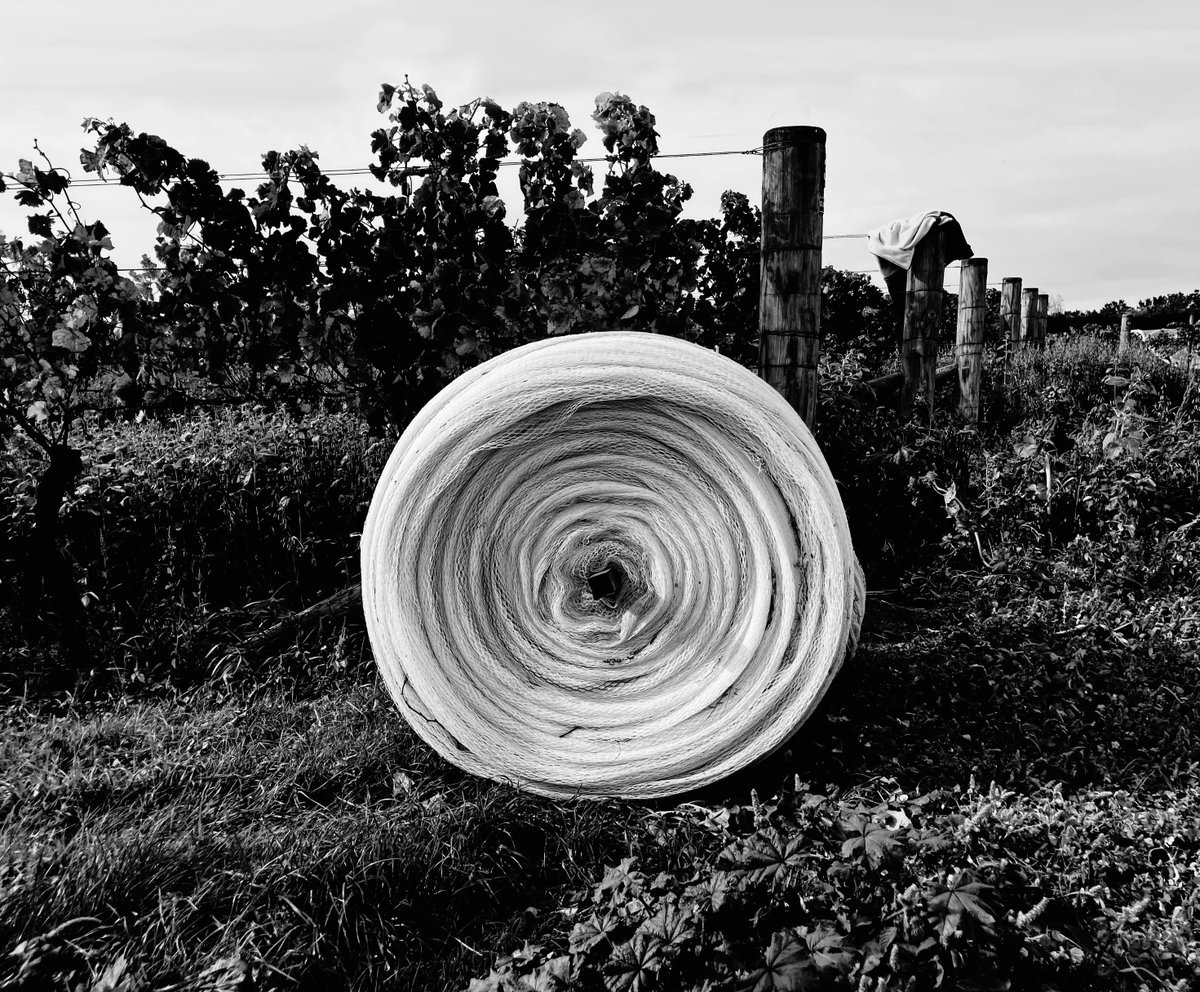 D E V O T U S tweet media