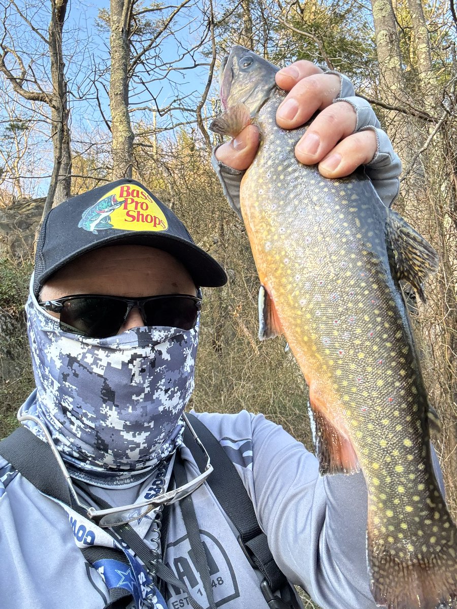comradejay's tweet photo. A good afternoon fishing session https://t.co/xI2Sp0J7WD