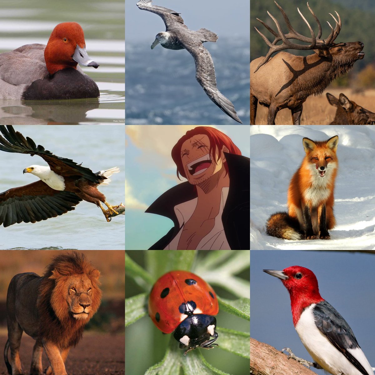 ☀️Hunt! tweet media